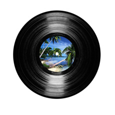 A vinyl record with palm trees in the middle... yummy